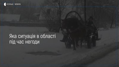 Близько 30 сантиметрів снігу випало на Новгород-Сіверщині, частина сіл залишаються без світла