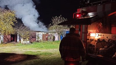 Знайшли на пожежі: на Рівненщині рятувальники реанімували кошеня Знайшли на пожежі: на Рівненщині рятувальники реанімували кошеня
