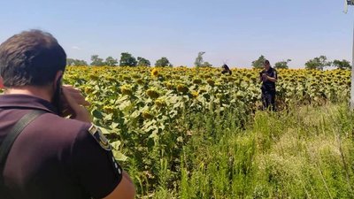 На Херсонщині прикордонники знайшли поле конопель На Херсонщині прикордонники знайшли поле конопель
