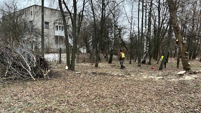 Деревину передадуть на потреби комунальної сфери: територію Малина на Житомирщині розчищають від чагарників і самосію Деревину передадуть на потреби комунальної сфери: територію Малина на Житомирщині розчищають від чагарників і самосію