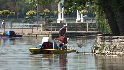 В Тернополі у водоймі загинула риба: що відомо В Тернополі у водоймі загинула риба: що відомо