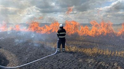 На Хмельниччині від падіння високовольтної лінії загорілося пшеничне поле