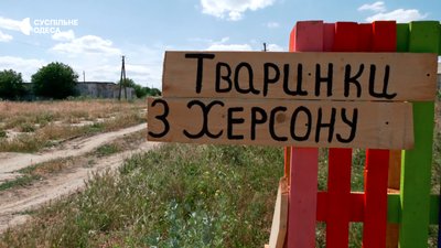 Тварини з Херсона, ферма на Одещині Тварини з Херсона, ферма на Одещині