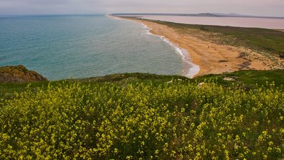  у Криму закрили для відвідування Опукський і Казантипський заповідники 