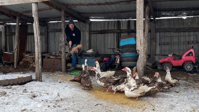 олег михайлев олег михайлев