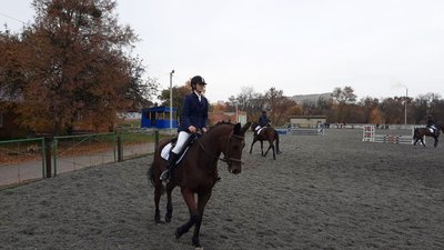 Кубок області з кінного спорту розіграли у Сумах