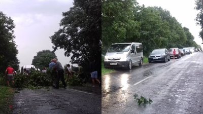 Негода на Волині: повалені дерева та град на пів долоні