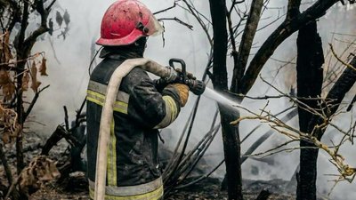 тернопіль, пожежа, дснс, торф, 2 вересня 2026 року