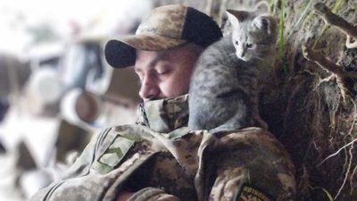 Олександр Назарук з котиком