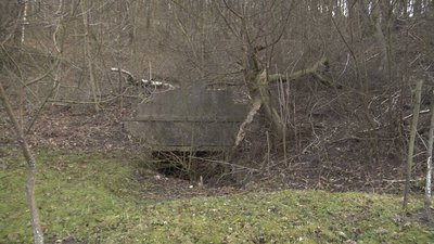 "Глибина дуже велика": що кажуть жителі про провалля у лісі на Тернопільщині "Глибина дуже велика": що кажуть жителі про провалля у лісі на Тернопільщині