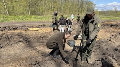 На Кіровоградщі висадили пів мільйона нових дерев – Суспільне Кропивницький