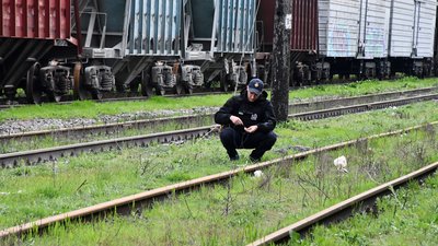 Розміновують території. Скільки боєприпасів піротехніки ДСНС вилучили протягом доби на Миколаївщині