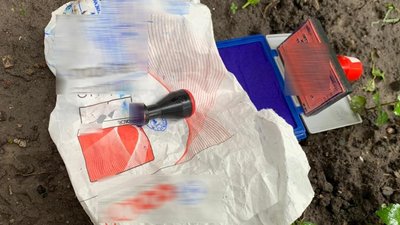 Волинянка організувала виробництво підробних сертифікатів про вакцинацію проти COVID-19