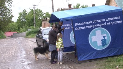 У Полтаві відновили планове щеплення тварин від сказу У Полтаві відновили планове щеплення тварин від сказу