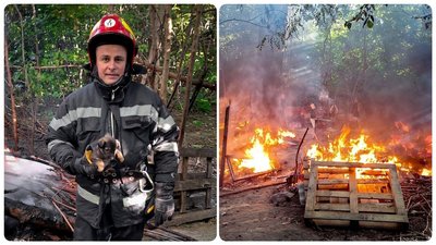 Собака загинув у пожежі у Вінниці