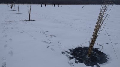 Кисневі "вікна" для риби: на водоймах Херсонщини рибінспектори з рибалками пробивають лід Кисневі "вікна" для риби: на водоймах Херсонщини рибінспектори з рибалками пробивають лід