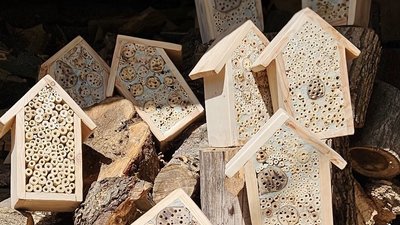 будиночки для комах, інсектготель
