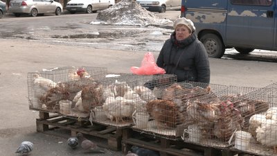 Кури не винні: у Рівному ринок живої птиці "переселять" на сільгоспринок Кури не винні: у Рівному ринок живої птиці "переселять" на сільгоспринок