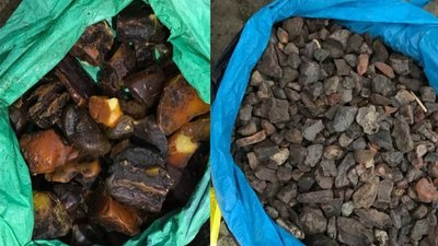 На Рівненщині у 18-ти обшуках вилучили бурштину на 30 тисяч доларів та зброю