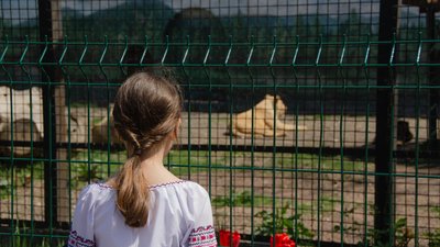 "Зоопарк потрібен людям більше, ніж тваринам": як працює одеський звіринець в умовах війни "Зоопарк потрібен людям більше, ніж тваринам": як працює одеський звіринець в умовах війни
