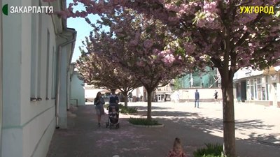 Туристична галузь Закарпаття під час карантину