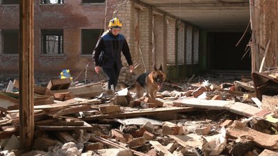 На руїнах школи у Чернігові кінологи тренують собак шукати людей під завалами На руїнах школи у Чернігові кінологи тренують собак шукати людей під завалами