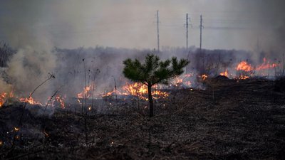 В одному з районів загорілася трава та кущі: росіяни запустили по Києву безпілотники В одному з районів загорілася трава та кущі: росіяни запустили по Києву безпілотники