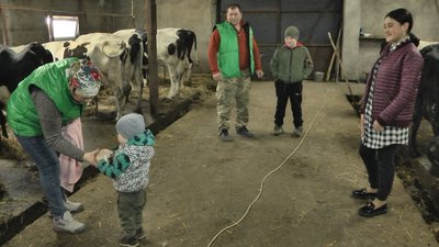 Село без пасовища: власники молочної ферми на Волині не мають де випасати корів Село без пасовища: власники молочної ферми на Волині не мають де випасати корів