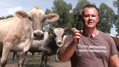 Фермер-блогер: як Михайло Травецький рятує корів від скотобійні