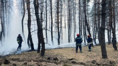 На Луганщині для ліквідації пожеж залучили військових На Луганщині для ліквідації пожеж залучили військових