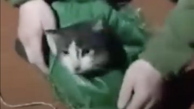 14 бригада, 14 ОМБр, евакуювали тварин дроном, UAnimals