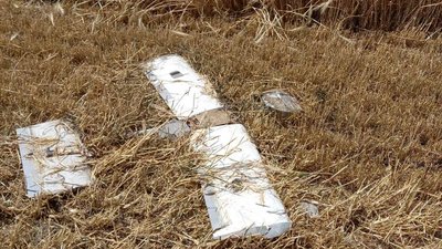 "Працюємо як на передовій". Директор сільгосппідприємства з Нікопольщини про жнива під постійними атаками РФ "Працюємо як на передовій". Директор сільгосппідприємства з Нікопольщини про жнива під постійними атаками РФ