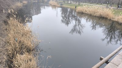 річка, Саксагань, кривий ріг