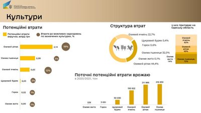 Одеська область втратила найбільше посівів через посуху в Україні
