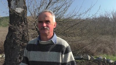 Запоріжці облаштовують територію навколо "Тарасової груші"