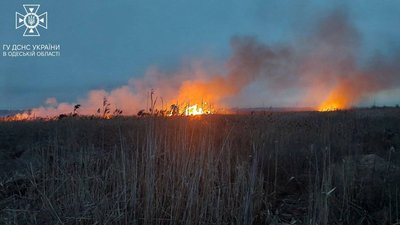В Одесі горіли поля зрошення