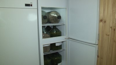 Черкаські лісівники заготовляють насіння сосни
