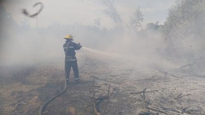 За добу на Херсонщині сталась 21 пожежа на відкритих територіях