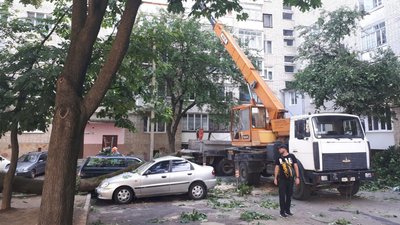 У Рівному дерево й стовп упали на кілька машин У Рівному дерево й стовп упали на кілька машин