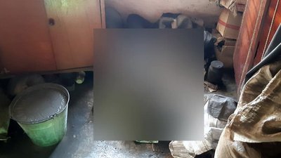 Під час пожежі у житловому будинку загинула його власниця