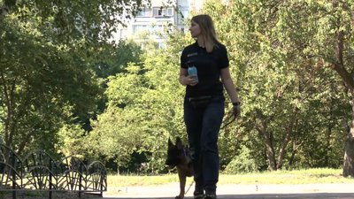 Черкасці долучилися до Всесвітньої акції і взяли собаку на роботу