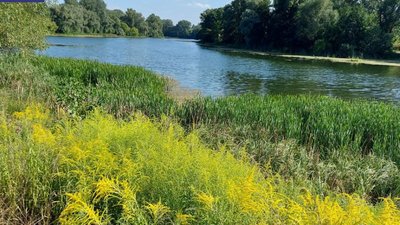 Чотири громадські організації вийшли з ради учасників АТО при сумському мерові Чотири громадські організації вийшли з ради учасників АТО при сумському мерові