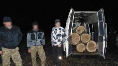 На Черкащині затримали чоловіків, які вирубали дерева у лісосмузі