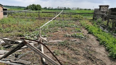 Зламана теплиця після буревію в Дмитрівці