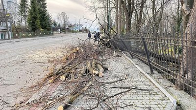 Повалені дерева у Надвірній на Івано-Франківщині Повалені дерева у Надвірній на Івано-Франківщині