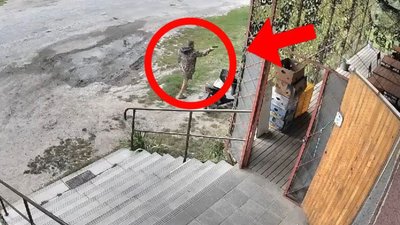 Стрілянина, Серебринці, поліція