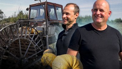 Фермер з Чернігівщини вирощує гарбузи на насіння, а його помічник майструє техніку