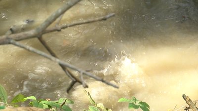 У Житомирі нечистоти продовжують текти у Тетерів – поломку на водоканалі мають усунути до кінця доби