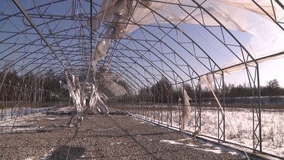 Замінували та засмітили. Як відновлюється зруйноване під час окупації росіянами Лиманське лісництво Замінували та засмітили. Як відновлюється зруйноване під час окупації росіянами Лиманське лісництво