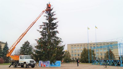 ялинки на Рівненщині ялинки на Рівненщині